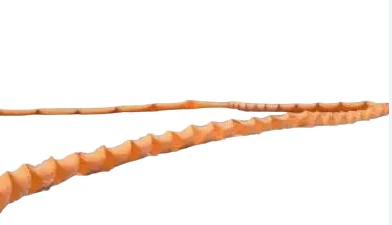 Libérez le pouvoir de la prévention avec notre barrage anti-pollution auto-gonflable. Imaginez une solution qui se déploie instantanément, créant une barrière résistante contre les déversements indésirables. Facile à installer, polyvalent dans son utilisation, notre barrage offre une protection robuste à la fois pour les eaux douces et les milieux industriels.